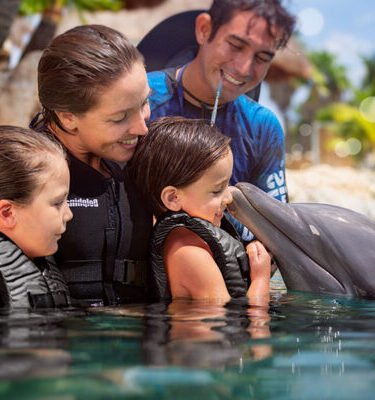 COZUMEL DELFINES